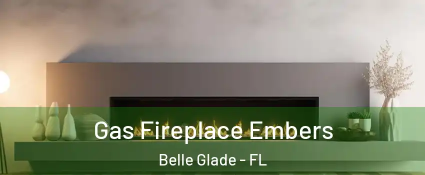  Gas Fireplace Embers Belle Glade - FL